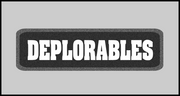 1 x 3.5 inch Patch - Deplorables