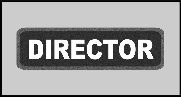 1 x 3.5 inch Patch - Director