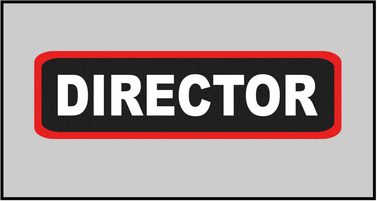 1 x 3.5 inch Patch - Director