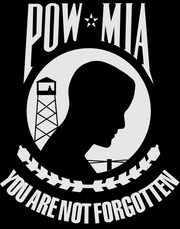 POW MIA Reflective Hoodie - Pullover