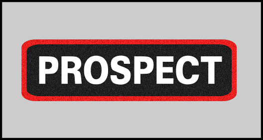 1 x 3.5 inch Patch - Prospect