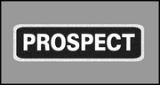 1 x 3.5 inch Patch - Prospect