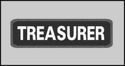 1 x 3.5 inch Patch - Treasurer