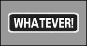 1 x 3.5 inch Patch - Whatever
